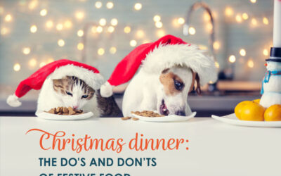 Christmas dinner: the do’s & don’ts of Festive Food