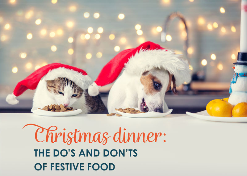 Christmas dinner: the do’s & don’ts of Festive Food