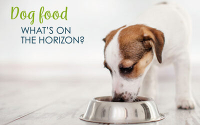 Dog Food: What’s On The Horizon
