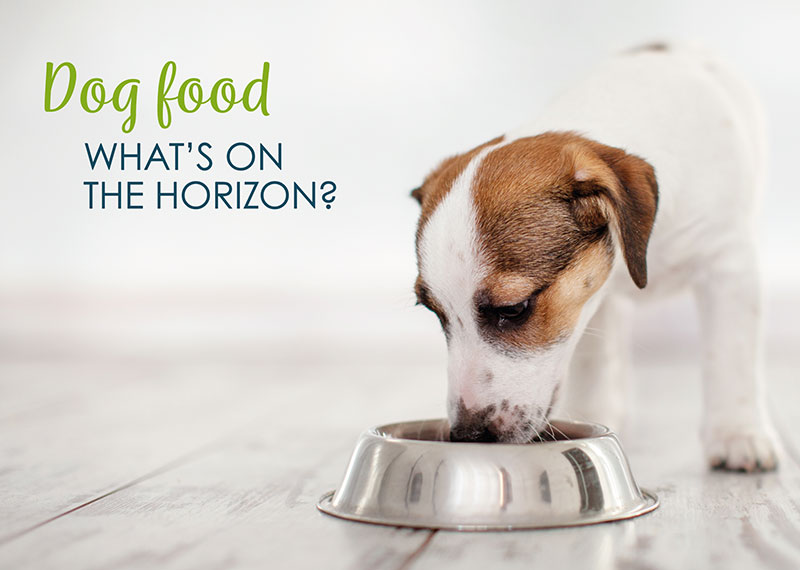 Dog Food: What’s On The Horizon