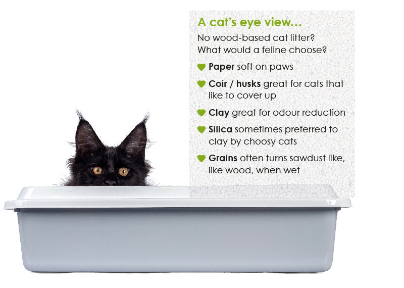Vital Pet Trade P1 cat litter article