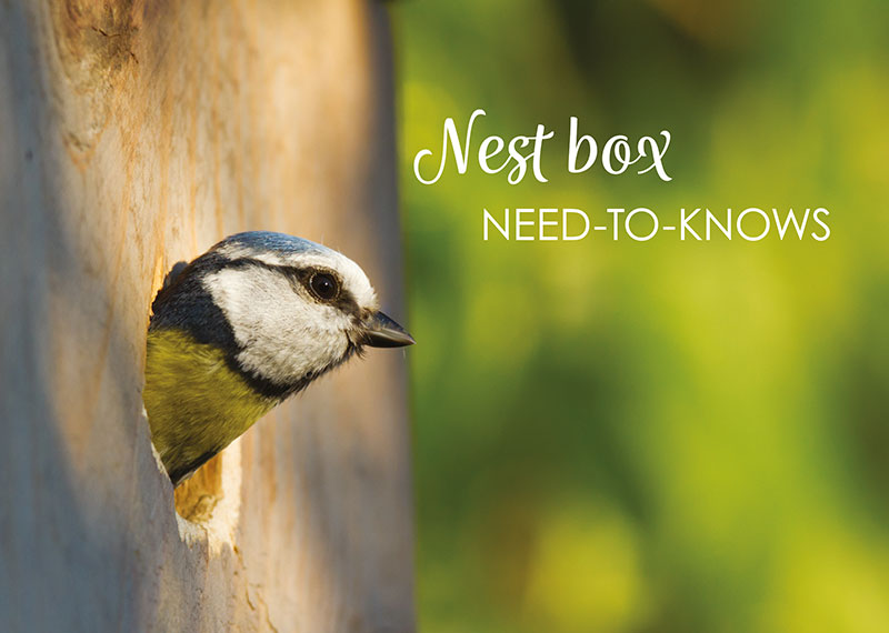 Vital Pet Trade P1 bird nest article